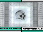 Replay Les vanités - Artjacking !