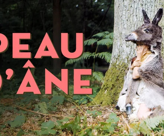 Replay Peau d'âne