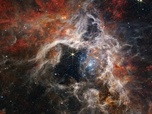 Replay À regarder en famille - Le télescope James Webb : les premières découvertes