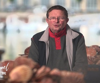 Replay Le goût du détail - Noix de St Jacques