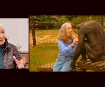 Replay Actuelles - Jane Goodall, de la défense des chimpanzés à la lutte pour la justice sociale