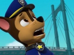 Replay S00 E47 - Compilation Paw Patrol, la Pat'Patrouille 47