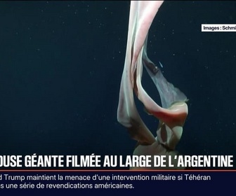 Replay BFM Première prématinale - Le break du jeudi 5 février