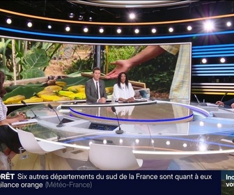 Replay BFM Première prématinale - Focus Régions - 02/07