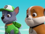 Replay Paw Patrol, la Pat'Patrouille - Un chaton dans la Pat'Patrouille