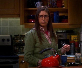 Replay The Big Bang Theory - S7E5 - La proximité du lieu de travail