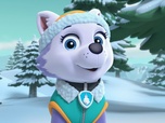 Replay Paw Patrol, la Pat'Patrouille - S05 E21 - Une balade en raquettes