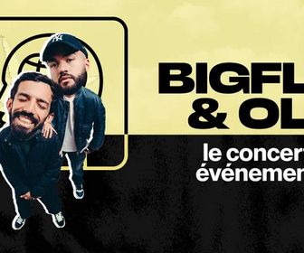Replay Bigflo et Oli, le concert événement
