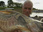 Replay River monsters