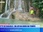 Replay Les longs formats des Locales