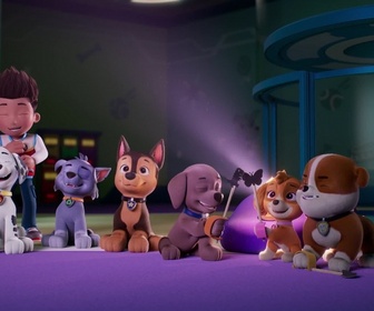 Replay Paw Patrol, la Pat'Patrouille - Le phare de l'île des Phoques