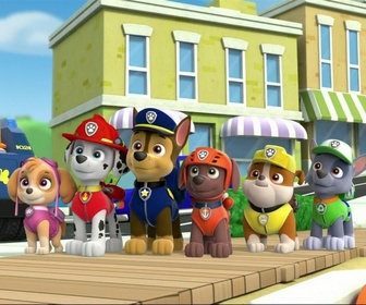 Replay Paw Patrol, la Pat'Patrouille - Les bébés tortues de mer