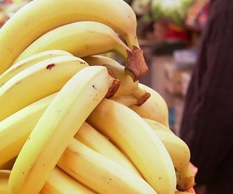 Replay TFOU de cuisine - S01 E14 - Sucettes de fruits glacés