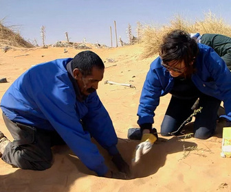 Replay Drôles de villes pour une rencontre - 06/01/2026