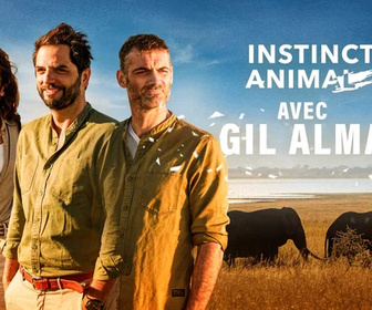 Replay Instinct animal - 29/06/2026