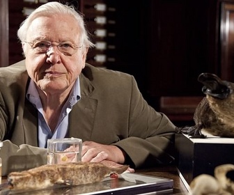 Replay Le crapaud et l'ornithorynque - Curiosités animales