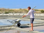 Replay L'or blanc de Noirmoutier - 360° Reportage