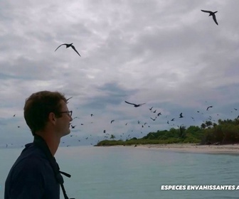 Replay Positive Outre-mer - Espèces envahissantes à Tétiaroa