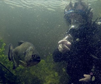 Replay Pêche XXL - Disparitions... fatales