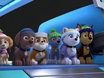 Replay Paw Patrol, la Pat'Patrouille - Sauvetage sur le fil