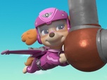 Replay Paw Patrol, la Pat'Patrouille - L'éolienne volante