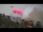 Replay Israël : d'importants feux de forêt menacent Jérusalem