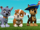 Replay Paw Patrol, la Pat'Patrouille - M. Hellinger le baby-sitter