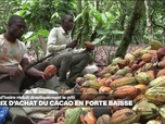 Replay Journal de l'Afrique - Crise du cacao : la Côte d'Ivoire réduit drastiquement le prix d'achat aux planteurs