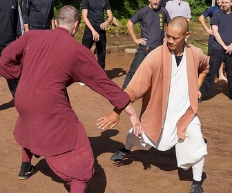 Replay Des moines Shaolin en Allemagne - ARTE Regards