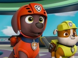 Replay Paw Patrol, la Pat'Patrouille - Le disque volant