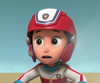 Replay Paw Patrol, la Pat'Patrouille - Toilettage à domicile