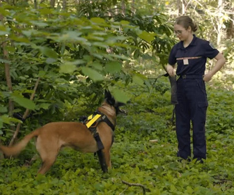 Replay À l'école des pompiers - 28/10/2025
