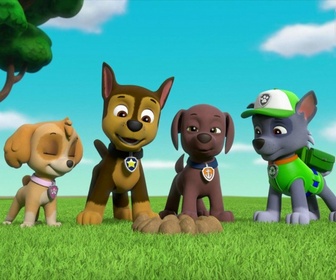 Replay Paw Patrol, la Pat'Patrouille - Deux maires en détresse