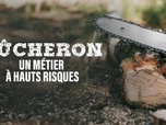 Replay Bûcheron, un métier à hauts risques - 25/01/2026