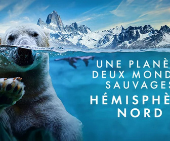 Replay Une planète, deux mondes sauvages - Hémisphère Nord