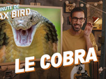 Replay La minute de Max Bird - Le Cobra Cracheur