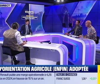 Replay Les experts du soir - La loi d'orientation agricole (enfin) adoptée - 20/02