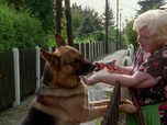 Replay Rex, chien flic - Vengeance