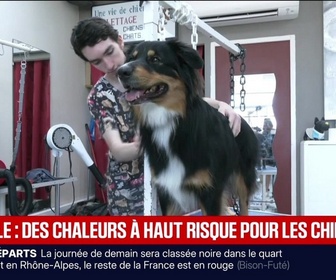 Replay BFM Première prématinale - Focus Régions - 10/07