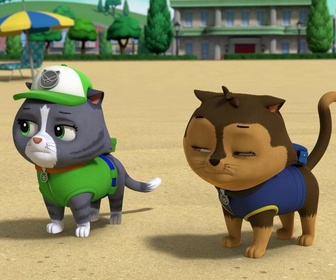 Replay Paw Patrol, la Pat'Patrouille - S09 E09 - Le concours de sculpture sur sable