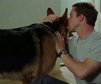 Replay Rex, chien flic - Le nouveau (1ère partie)