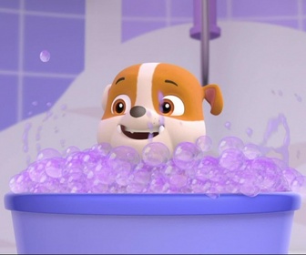 Replay Paw Patrol, la Pat'Patrouille - Le mariage