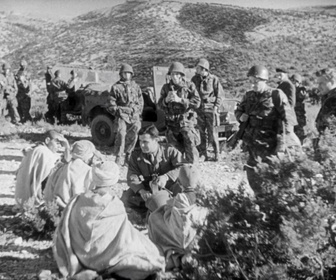 Replay Focus - Guerre d'Algérie : 70 ans après, retour sur la Toussaint rouge