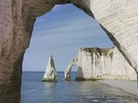 Replay Terre, les forces du vivant