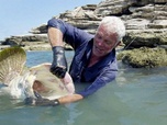 Replay River monsters - S8E5 - La mort venue d'en bas