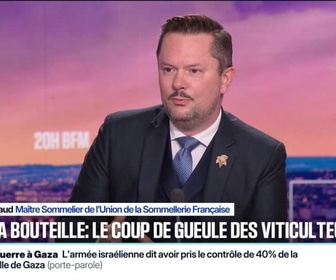 Replay 20H BFM - 1,89 euro la bouteille de vin: Ma première réaction, c'est la tristesse, indique Frédéric Turpaud, maître sommelier