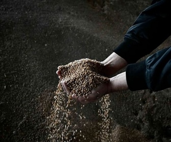 Replay ARTE Journal - Pologne : les paysans en colère face au blé ukrainien