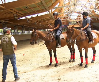 Replay Au galop ! - Des Camarguais au Pôle international de Deauville