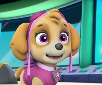 Replay Paw Patrol, la Pat'Patrouille - Le Ruben-O-Saurus