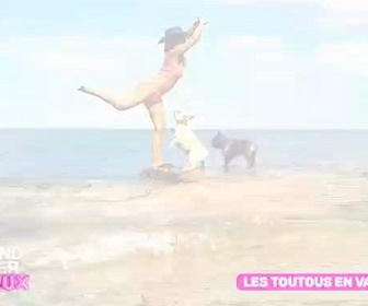 Replay Le grand bêtisier des animaux - Émission 3